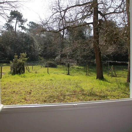 Casa vacanze Maison La Tremblade-ronce-les-bains, 3 Pièces, 6 Personnes - Fr-1-305b-42 *